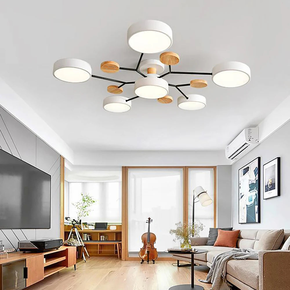 Designer Ceiling Lamp | Skanto
