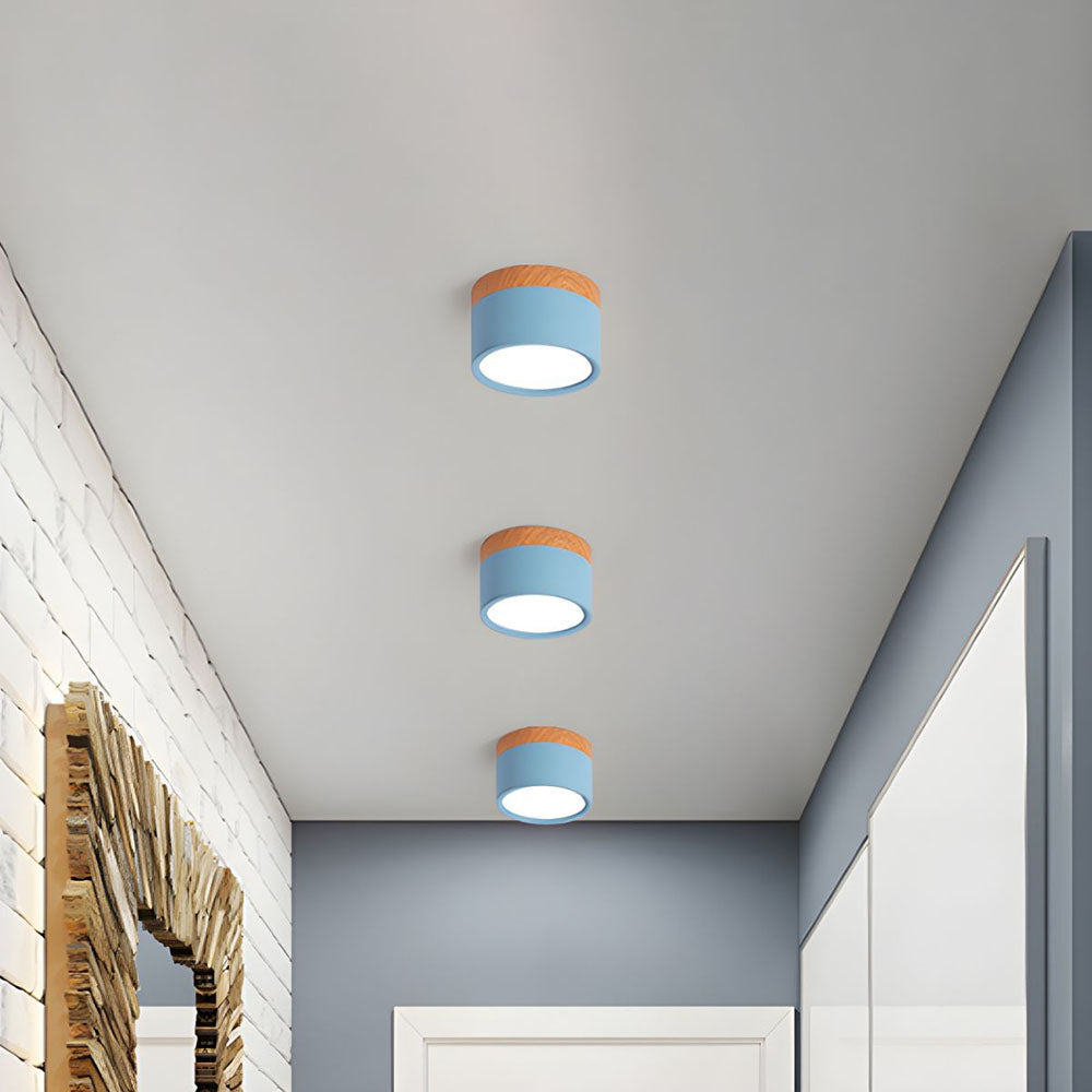 Aluminum LED Flush Mount Ceiling Light