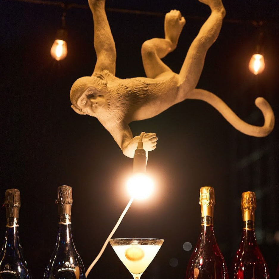 Frendorf | Monkey Pendant Light | Sculptural Design Object