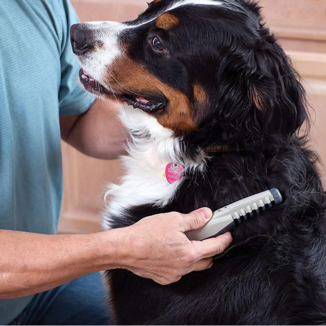 No more knots and tangles for your pet