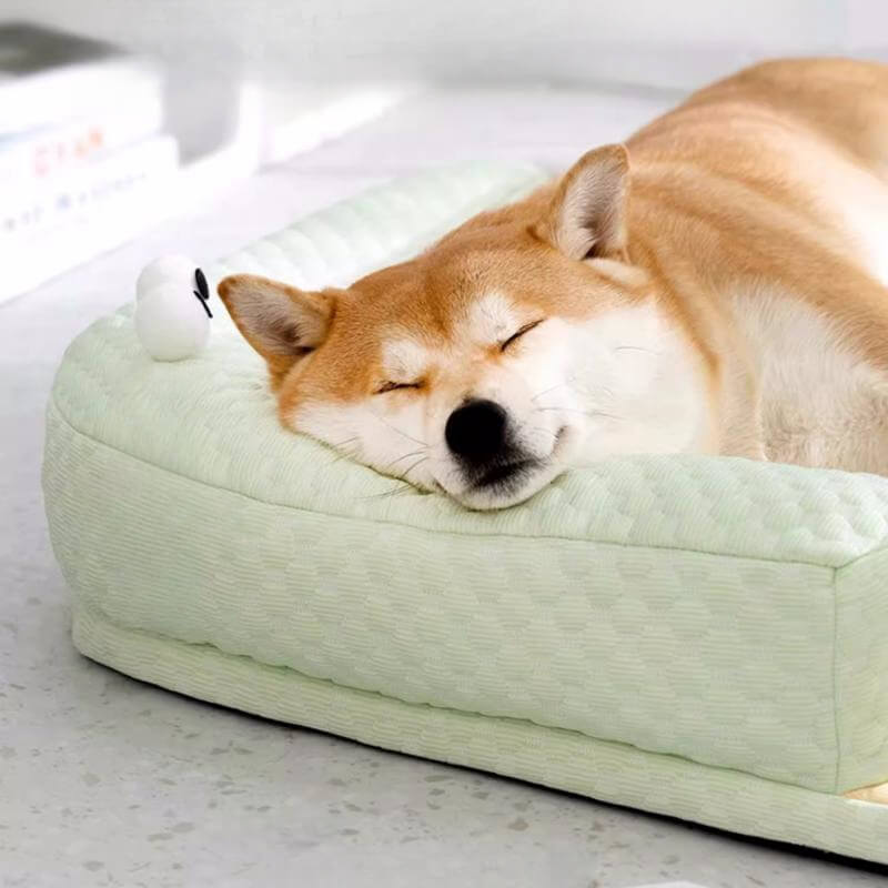 FrostyPaws | Cooling Pet Bed | Brehn