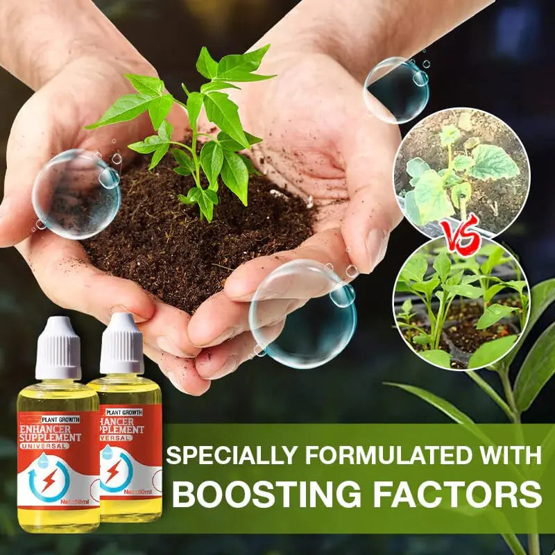 BowLift | Natural growth for your plants – buy 1, secure 1!