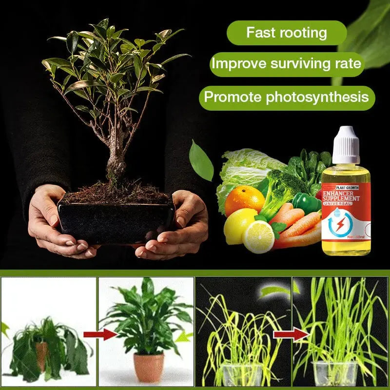 BowLift | Natural growth for your plants – buy 1, secure 1!