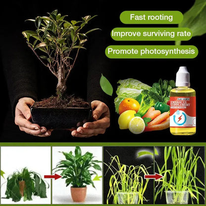 BowLift | Natural growth for your plants – buy 1, secure 1!