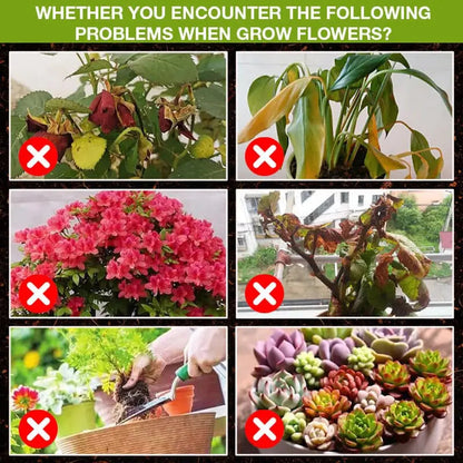 BowLift | Natural growth for your plants – buy 1, secure 1!
