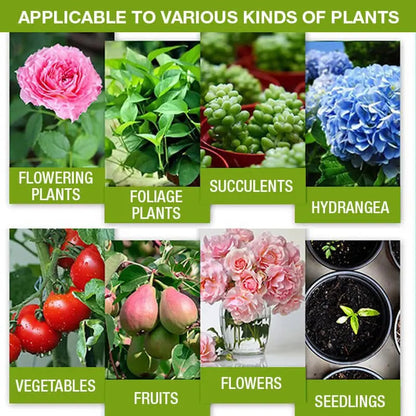 BowLift | Natural growth for your plants – buy 1, secure 1!