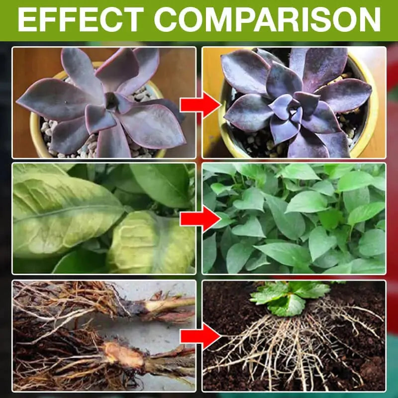BowLift | Natural growth for your plants – buy 1, secure 1!
