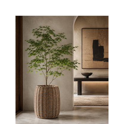 Stylized laundry basket Acalora