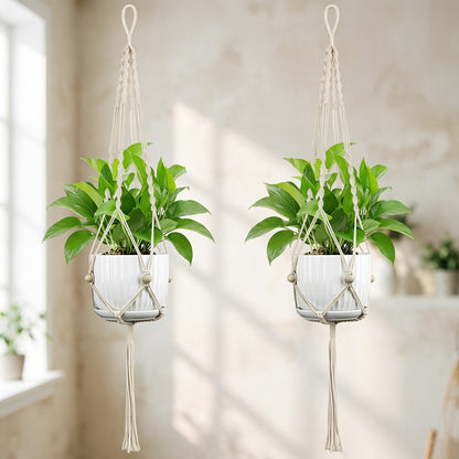 Plant Hanging Pot Acalora