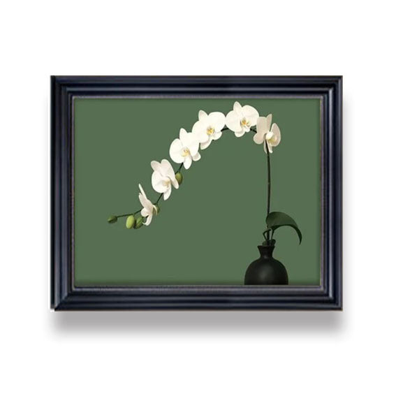 Framed Flower Artwork