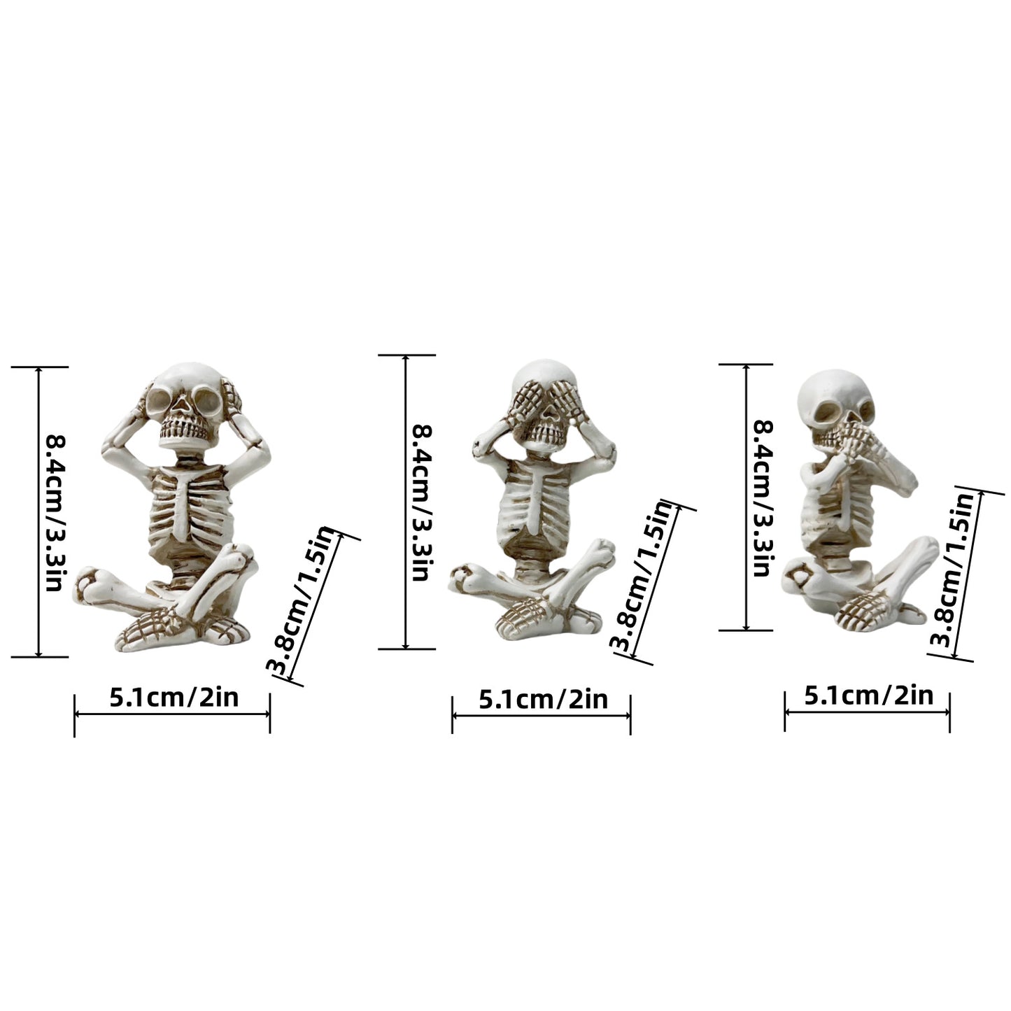 Decorative skeleton figure Acalora