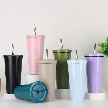 Women's Stainless Steel Tumbler with Straw Skanto