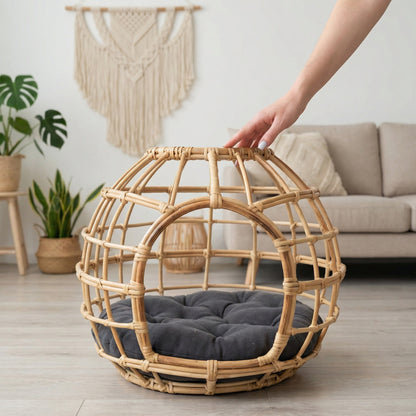 Cat cave Acalora