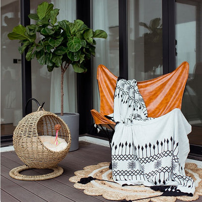 Cat Hammock Acalora