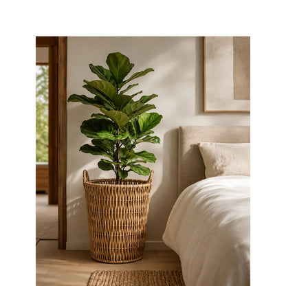 Storage basket Acalora