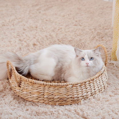 Cozy Cat Bed Acalora