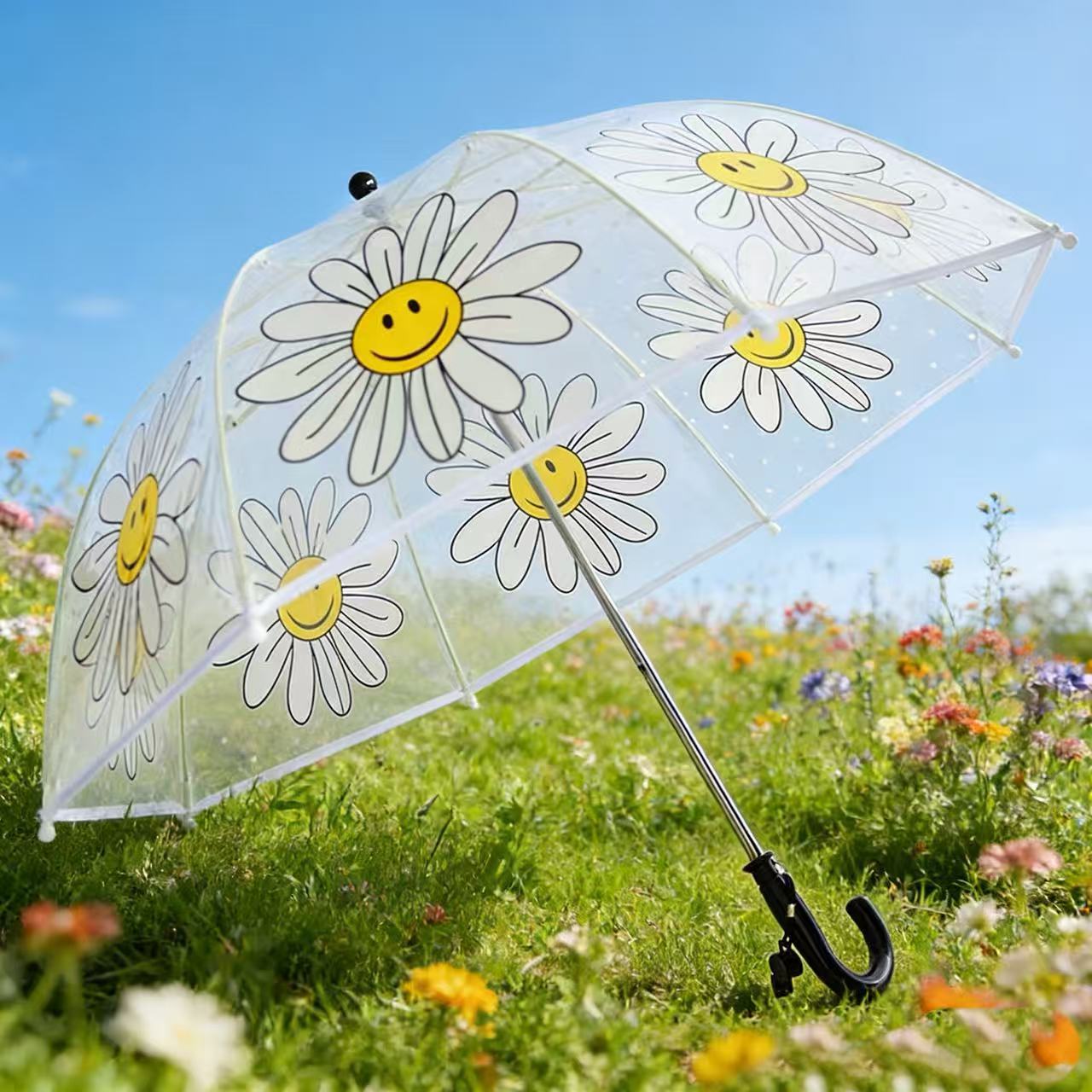 Ladies' Rainbow Umbrella Karnz