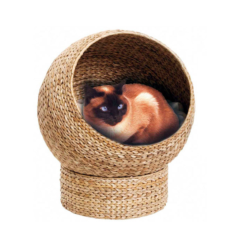 Katzenkuhle Acalora