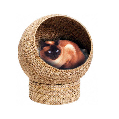 Katzenkuhle Acalora