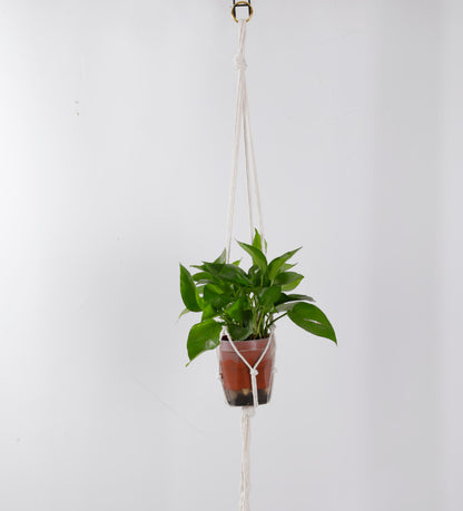 Macrame Plant Hanger Hooks Acalora