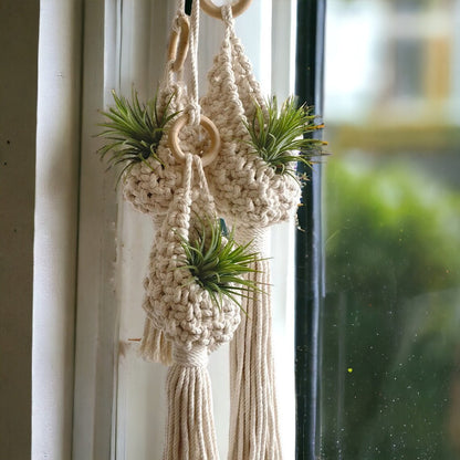 Macrame Hanging Planter Acalora