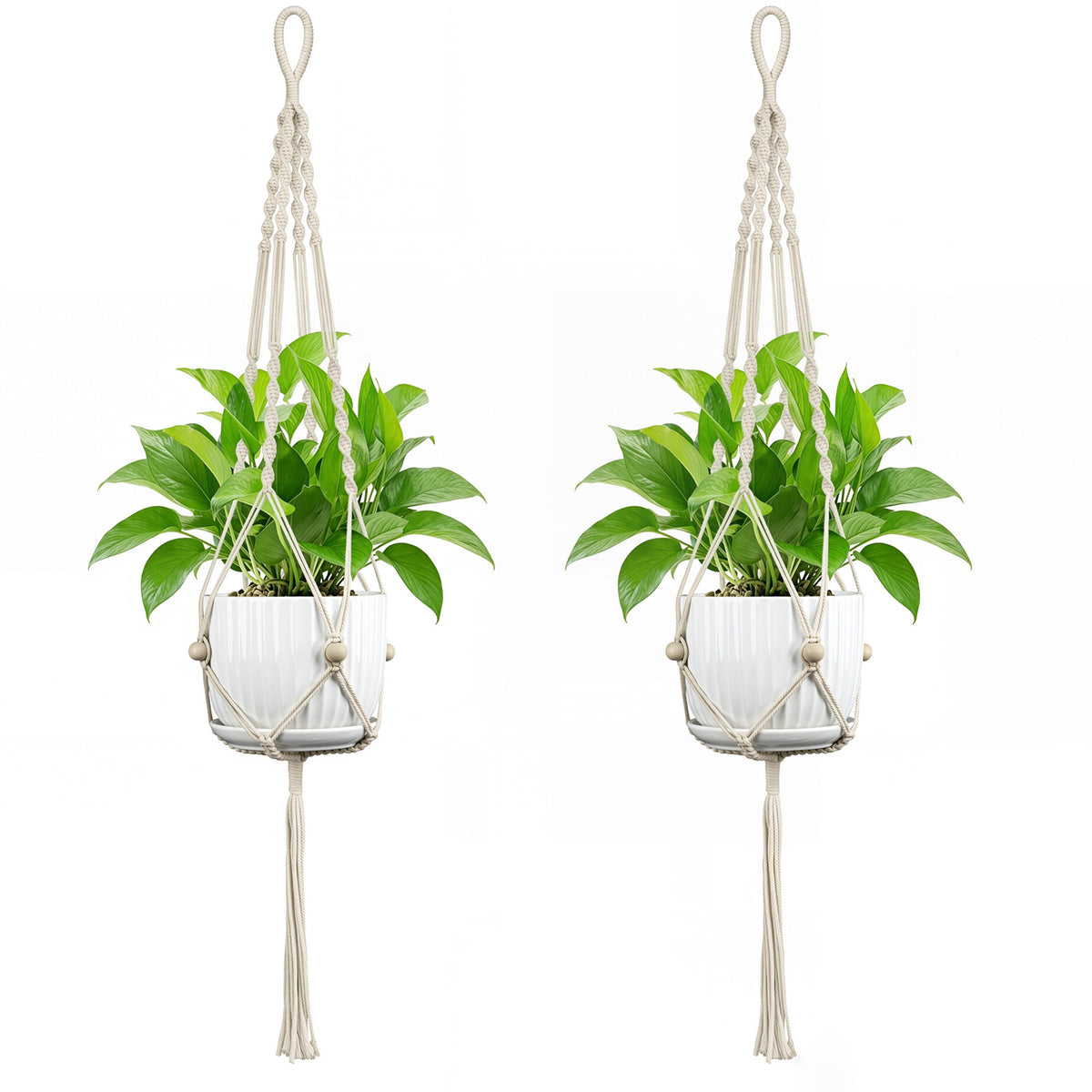 Plant Hanging Pot Acalora