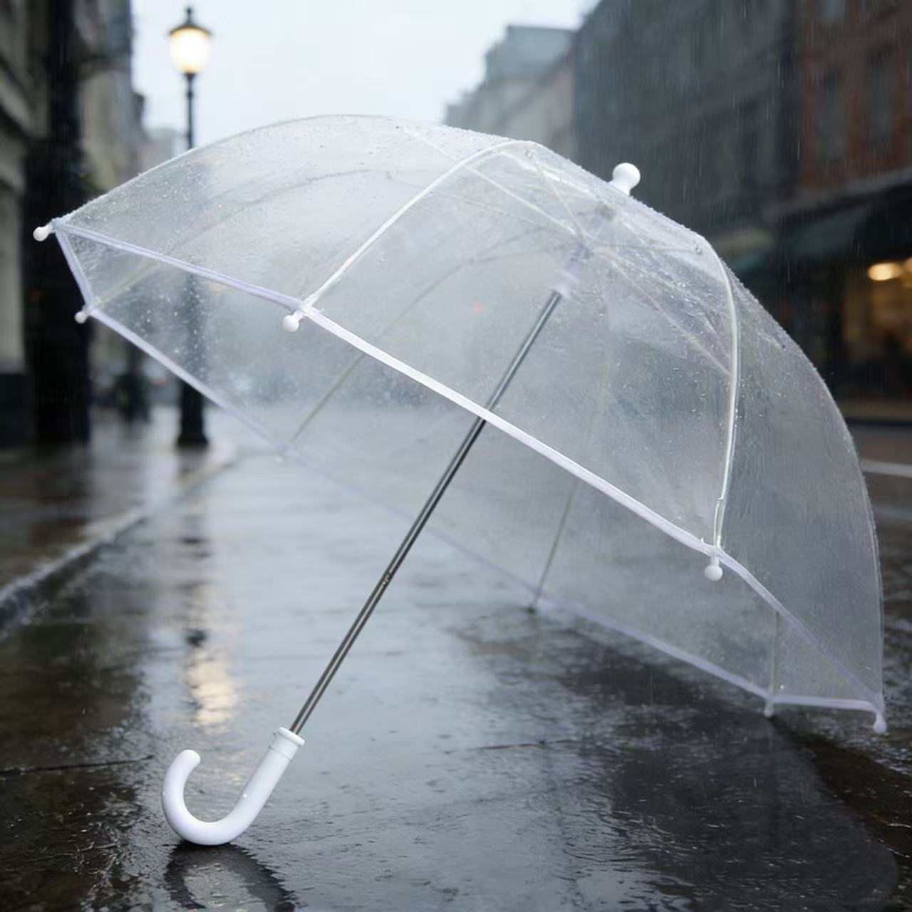 Ladies' Rainbow Umbrella Karnz