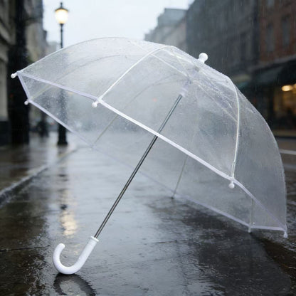 Ladies' Rainbow Umbrella Karnz
