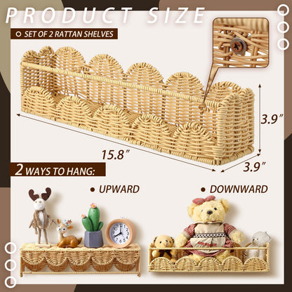 Shell Design Basket Acalora