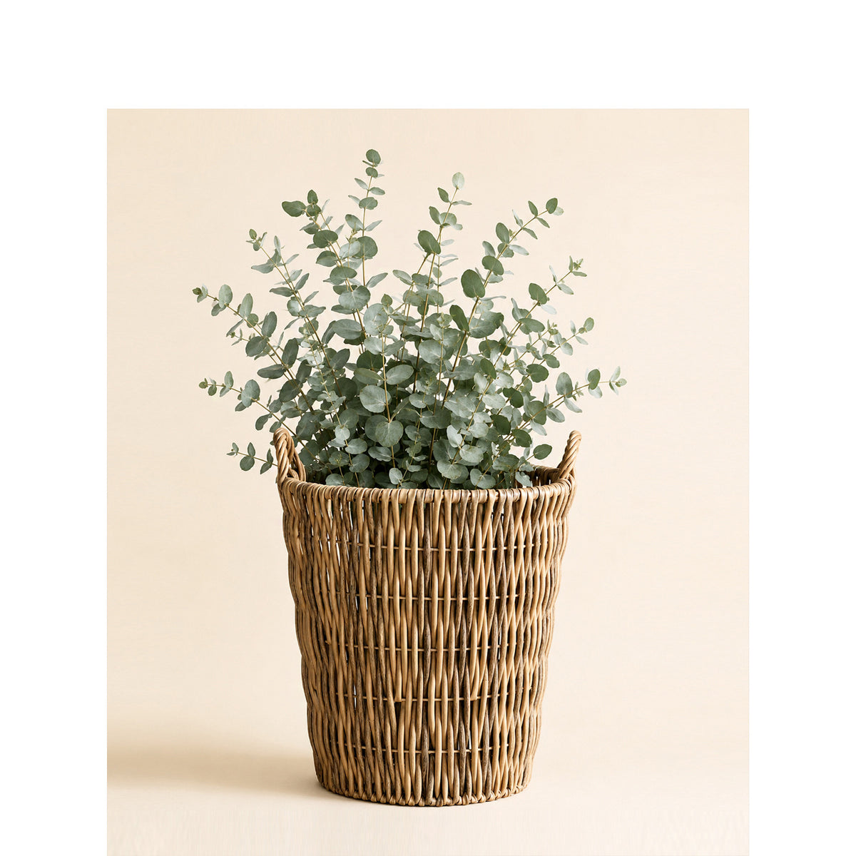 Storage basket Acalora