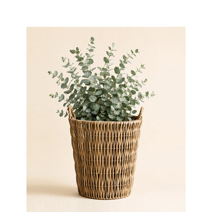 Storage basket Acalora