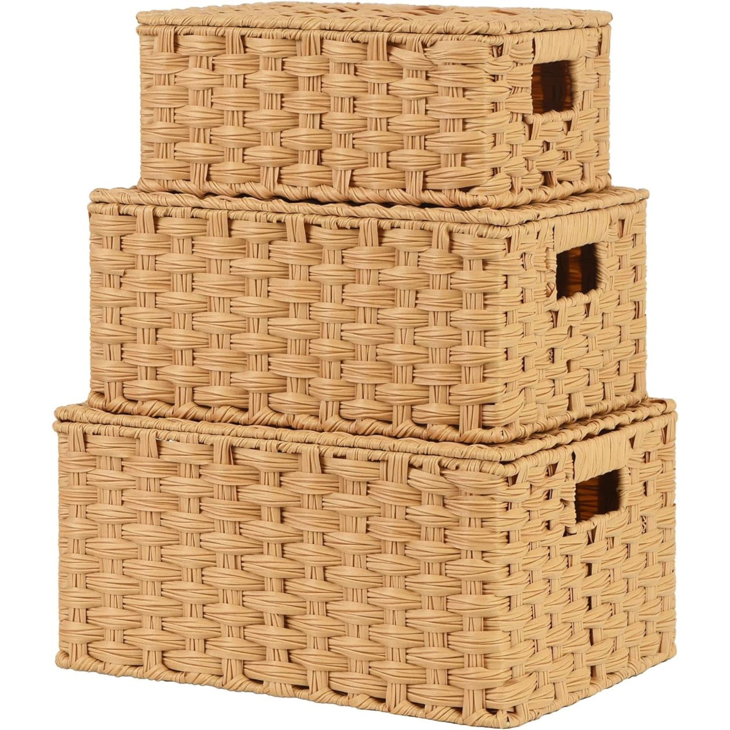 Handwoven Storage Baskets Set Acalora