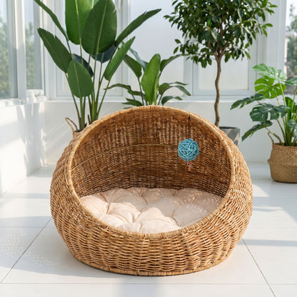 Cozy Sofa Acalora