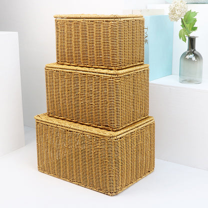 Rectangular Woven Storage Box Acalora