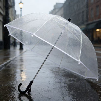 Ladies' Rainbow Umbrella Karnz