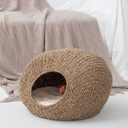 Cat cave Acalora