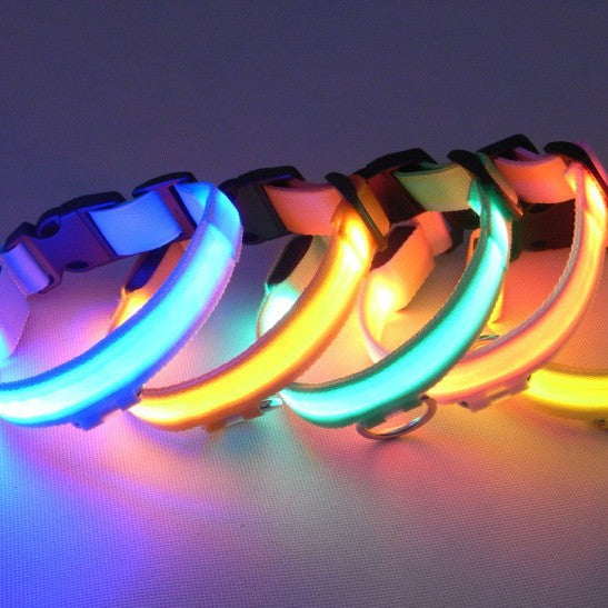 Skanto | LED Dog Collar – Keep an Eye on Your Pet!