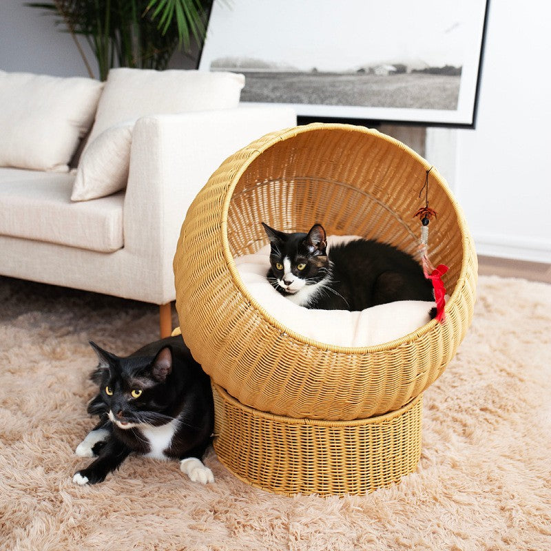 Cat bed with Modern Design Acalora
