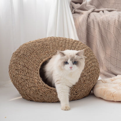 Cat cave Acalora