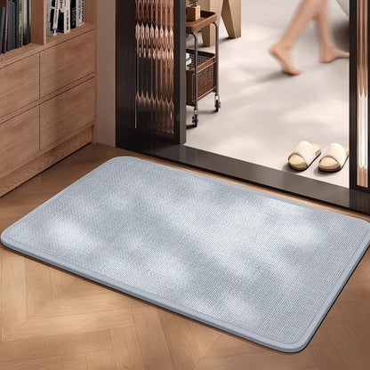 Absorbent Non-Slip Door Mat
