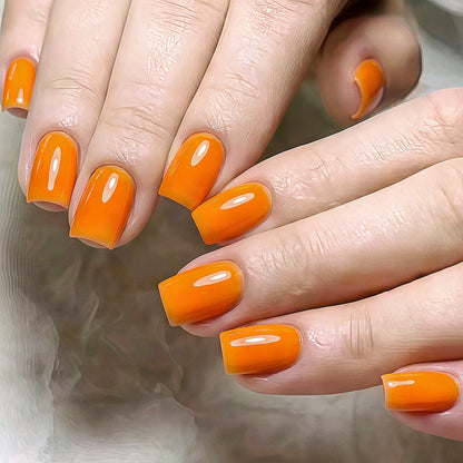 Premium Gel-Nail Polish Set Acalora