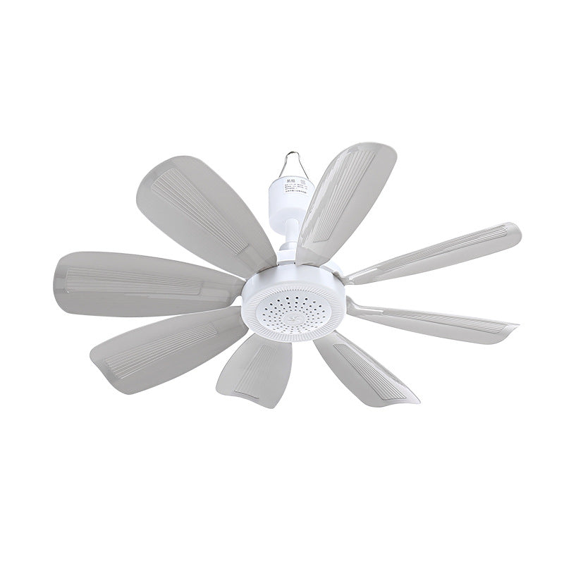 Women's Ceiling Fan Skanto