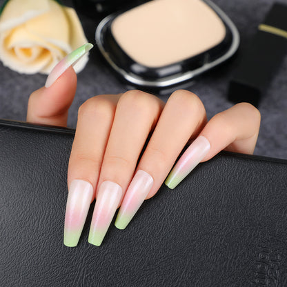 Glamorous artificial nails with gradient Acalora