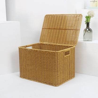 Woven Storage Chest with Lid Acalora