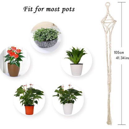 Plant pots Acalora