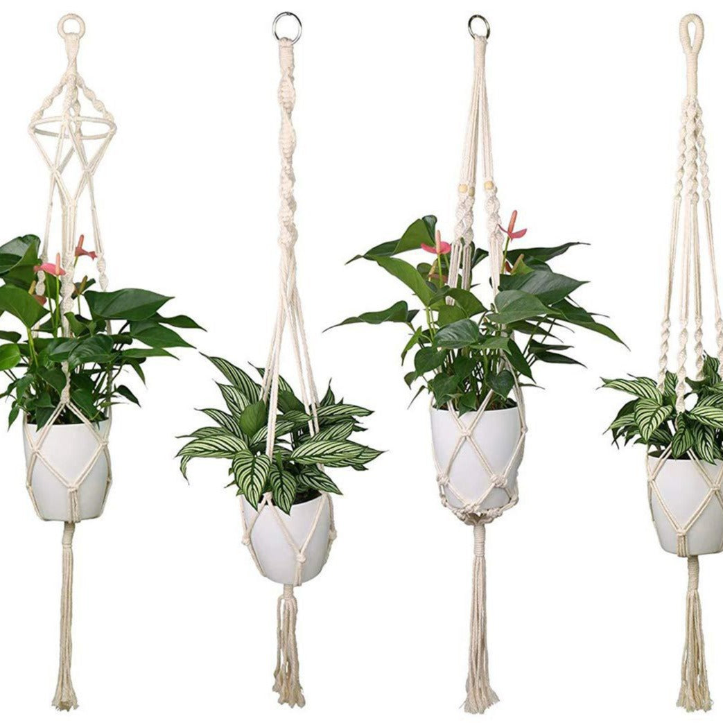Plant pots Acalora