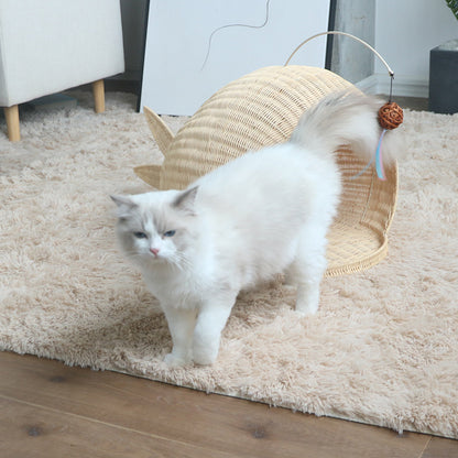Creative Cat House Acalora
