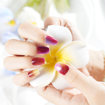 Ombre Gradient Press-On Nail Set Acalora