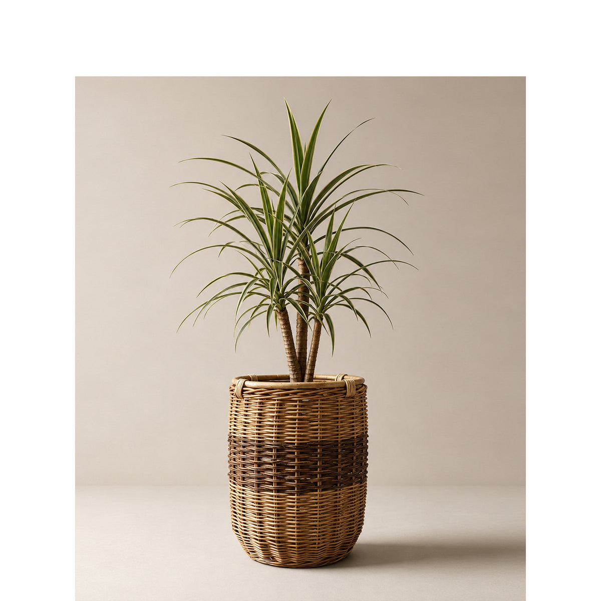 Handwoven laundry basket Acalora