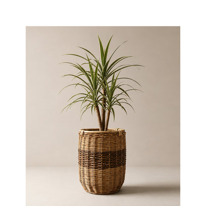 Handwoven laundry basket Acalora